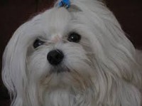 /album/klbka/images-5-jpg/